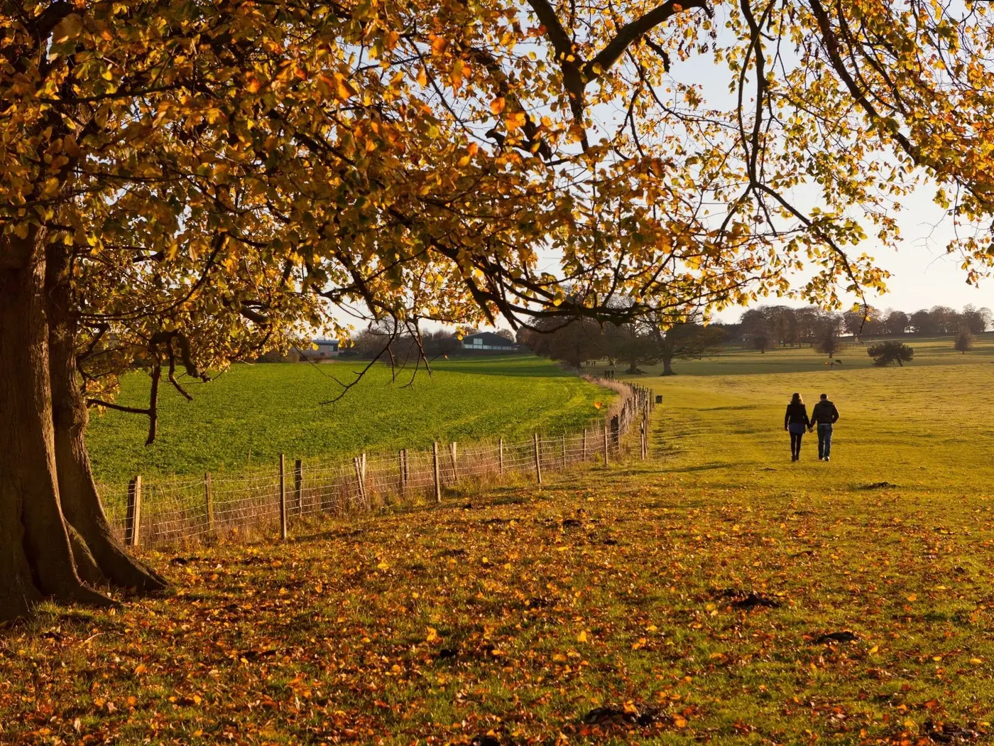 Herbstspaziergang durch die Landschaft