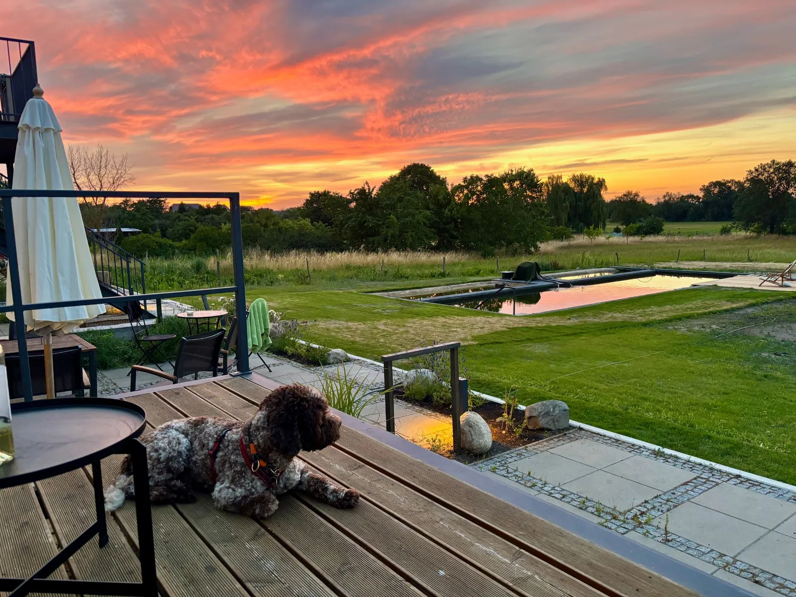 Terrasse mit Blick auf den Naturpool im Abendlicht