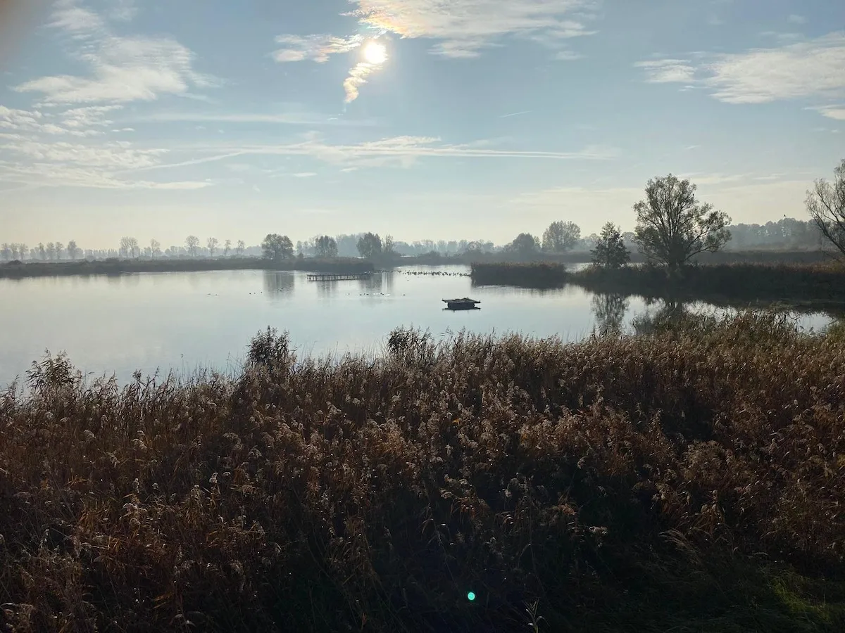 Rastplatz im Oberen Rhinluch: Moorsee mit Schilf im Morgenlicht